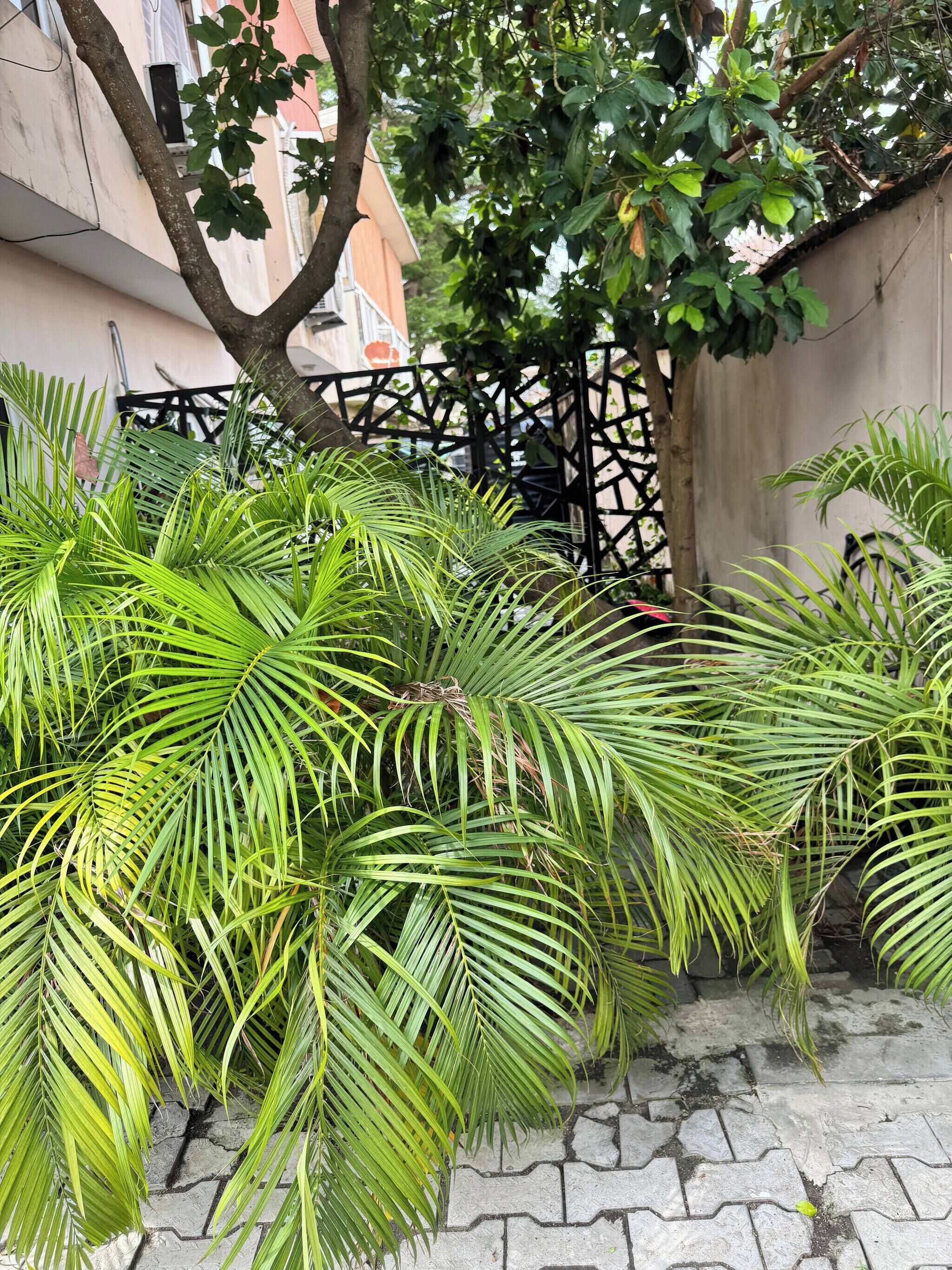 Departamento, 2 habitaciones, con acceso para personas discapacitadas, para fumadores | Jardín