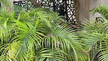 Apartamento, 2 habitaciones, accesible para personas con discapacidad, fumadores | Jardín