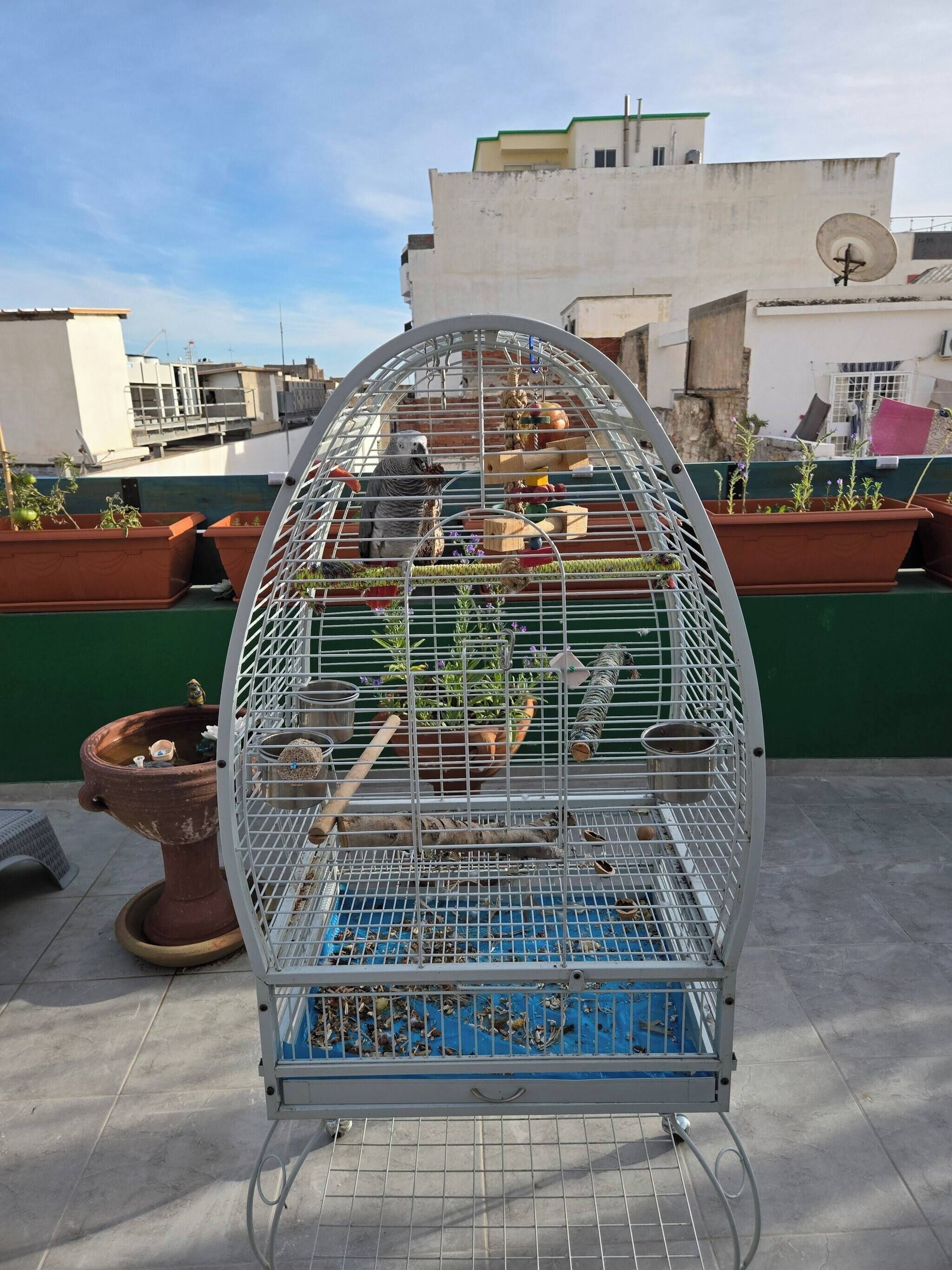 Enceinte de l’hébergement