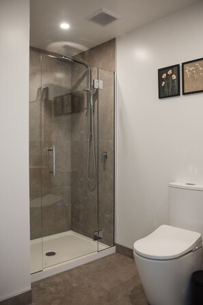 A modern bathroom with a glass-enclosed shower, a white toilet, and two framed floral artworks on the wall.