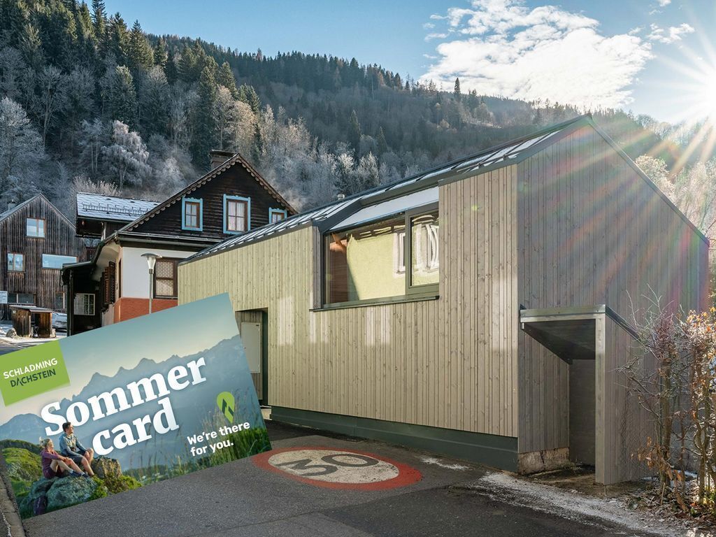 Panorama 198 Schladming Tiny House by myNests