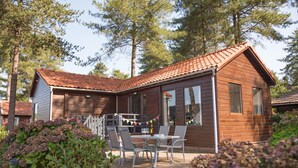 A wooden cabin with a tiled roof, surrounded by trees and a garden. - Luxury Forest Lodge with Private Garden (Ravels)