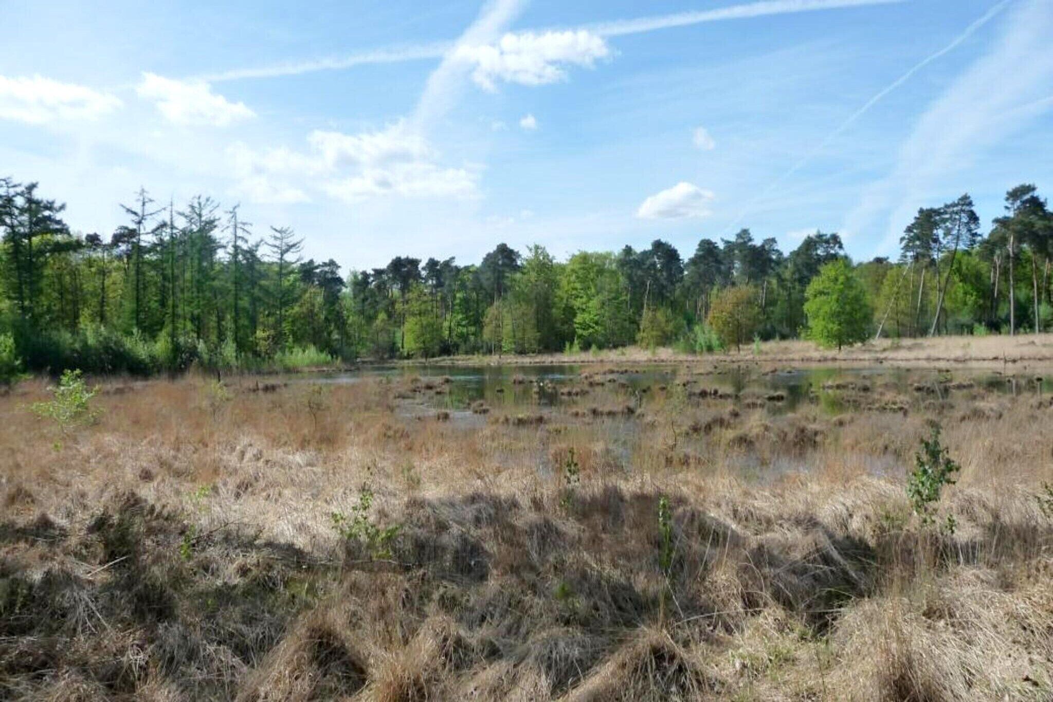 Omgeving [zomer] (1-5 km)