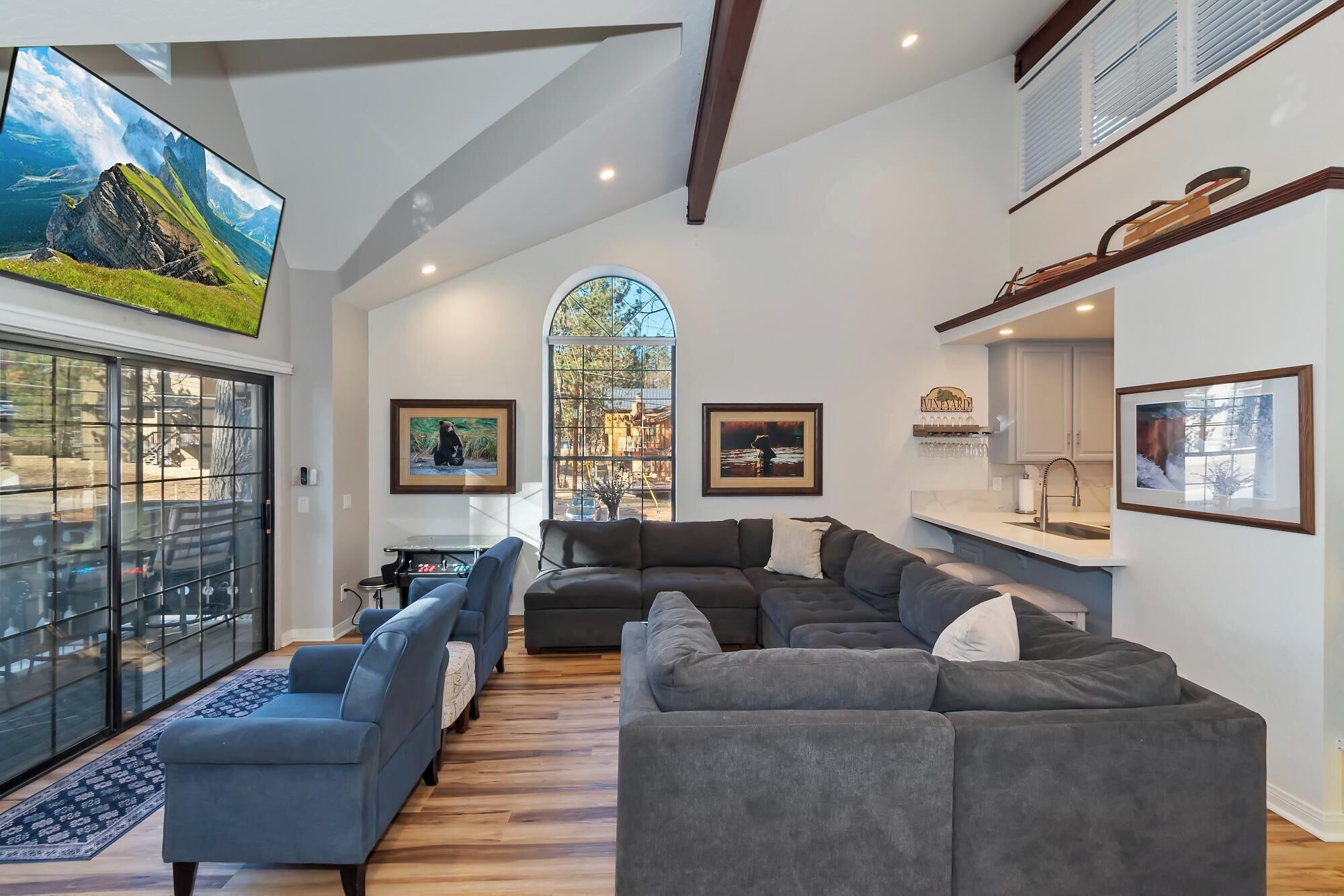 TV, fireplace, video games