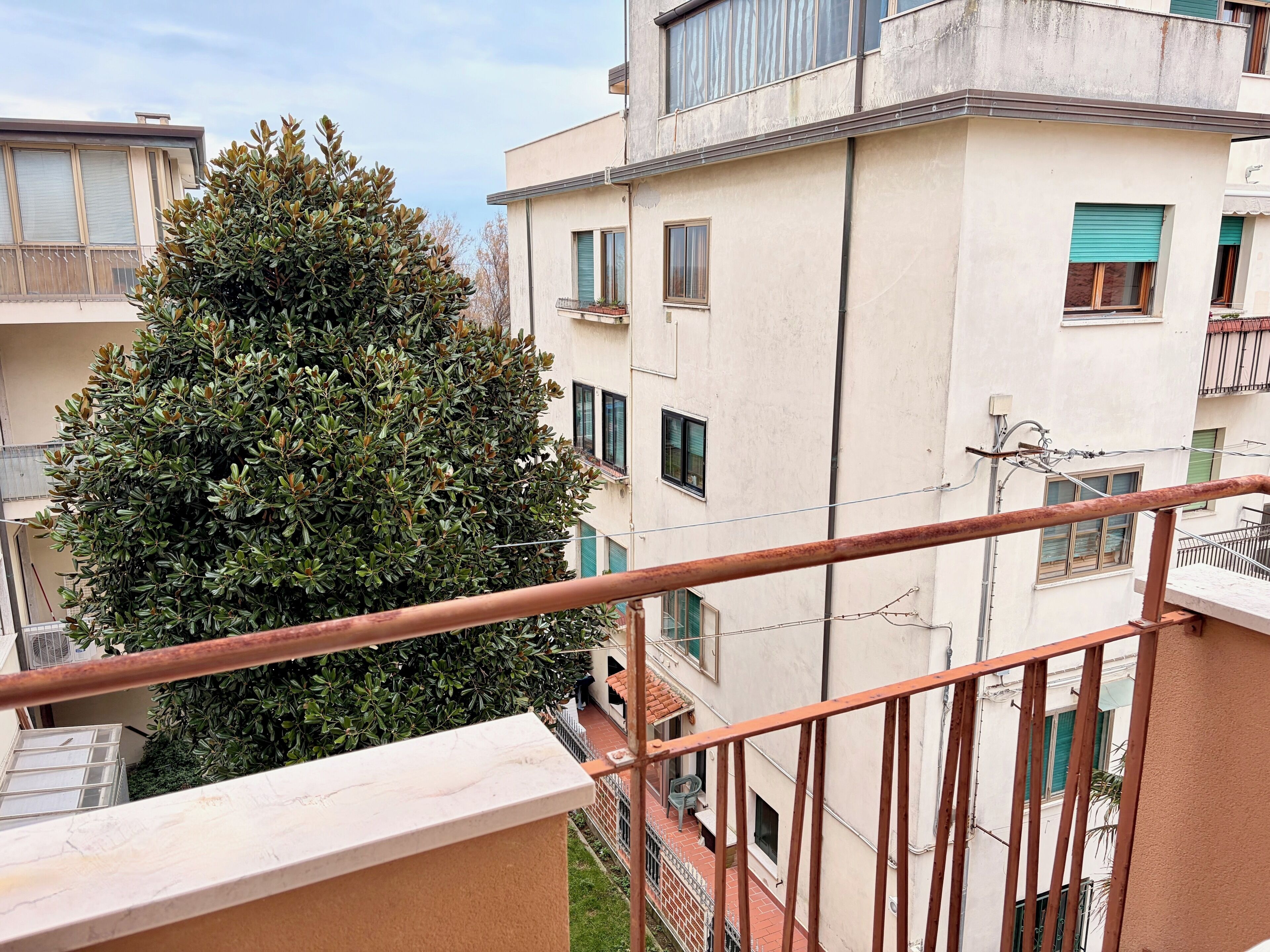 テラス / パティオ