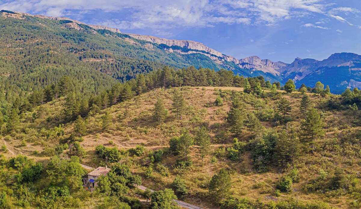 オーナーのプロフィール画像