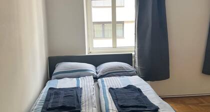 Modern 1BR City Apt for 5 Great Location