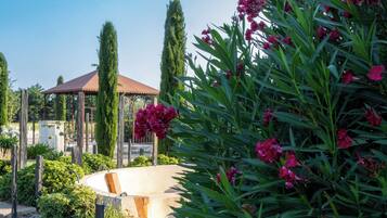 Terrein van de accommodatie