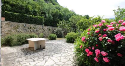 House Near Lake Bourget and Vineyards