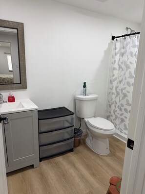 Sleek bathroom w/ walk in shower & rain shower! - Unique Farm Stay -Close to Colgate University, Hamilton College, Bouckville (Hubbardsville)