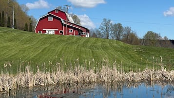 A red barn on a grassy hill with a pond in the foreground.