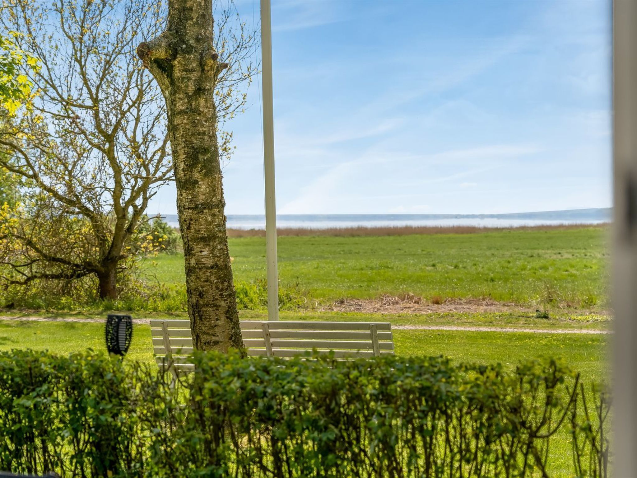 A park with a bench, a tree, and a grassy field.