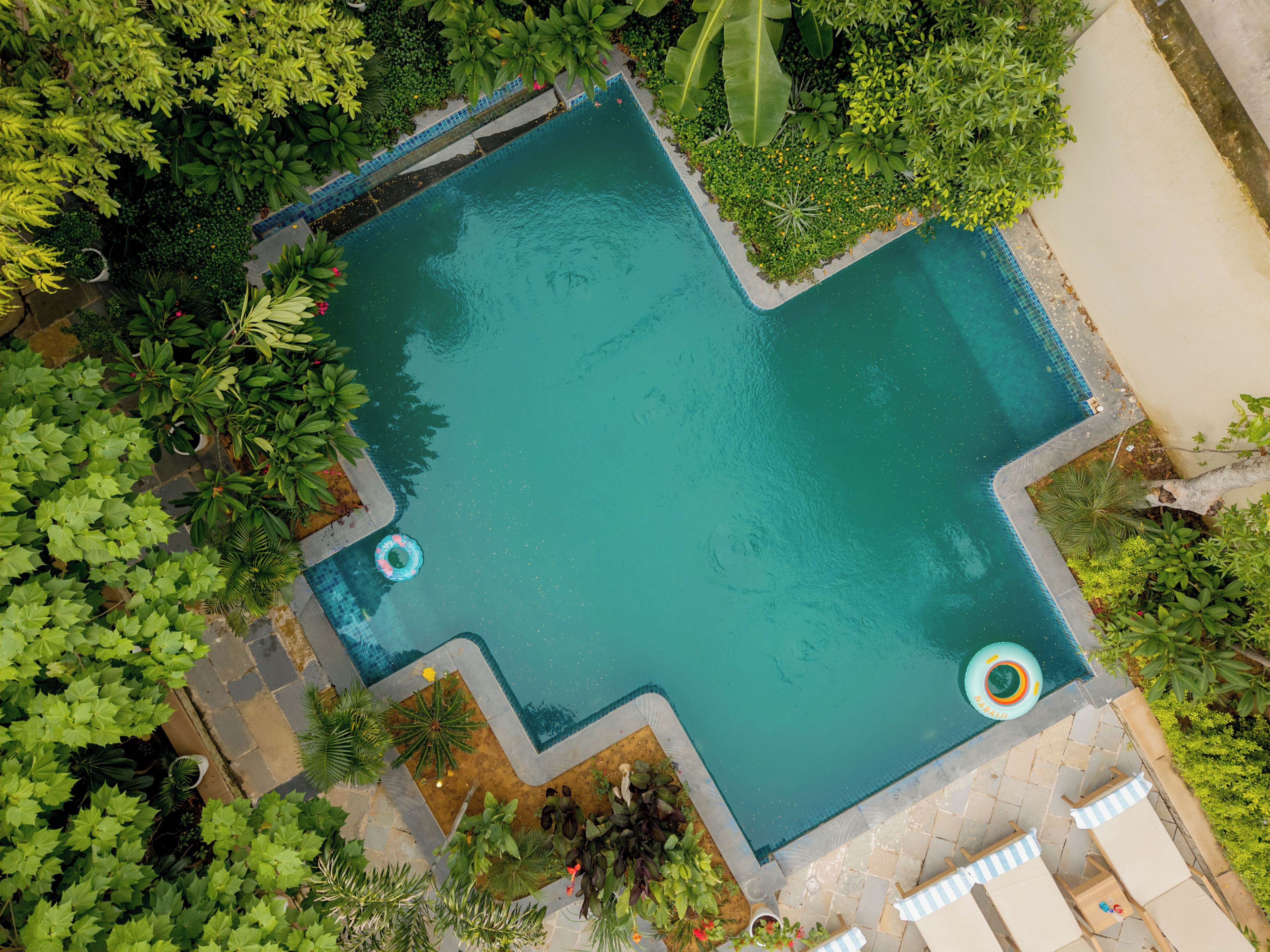 An aerial view of a rectangular pool surrounded by lush greenery and a tiled deck area with lounge chairs.