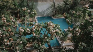 A pool surrounded by lush greenery and a bamboo fence. - Ramat Niwas by Kutani Stays (Jaipur)