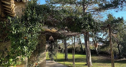 Villa avec piscine en Provence â proche dâIsle-sur-la-Sorgue,dâAvignon et Gordes