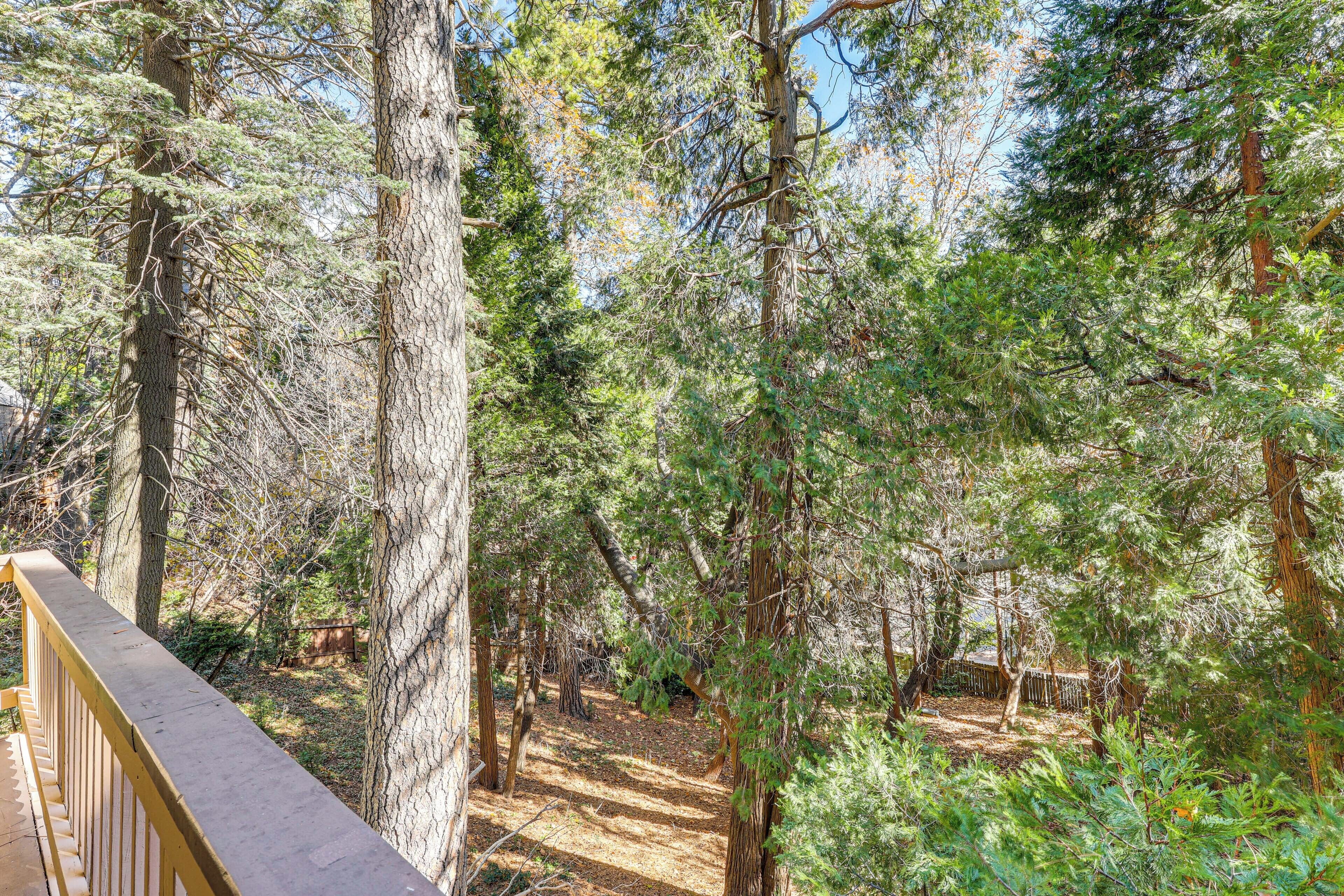 A forested area with a wooden deck overlooking a trail.