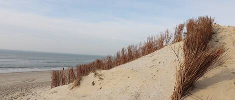 Chalet | Vue depuis lâhĂ©bergement