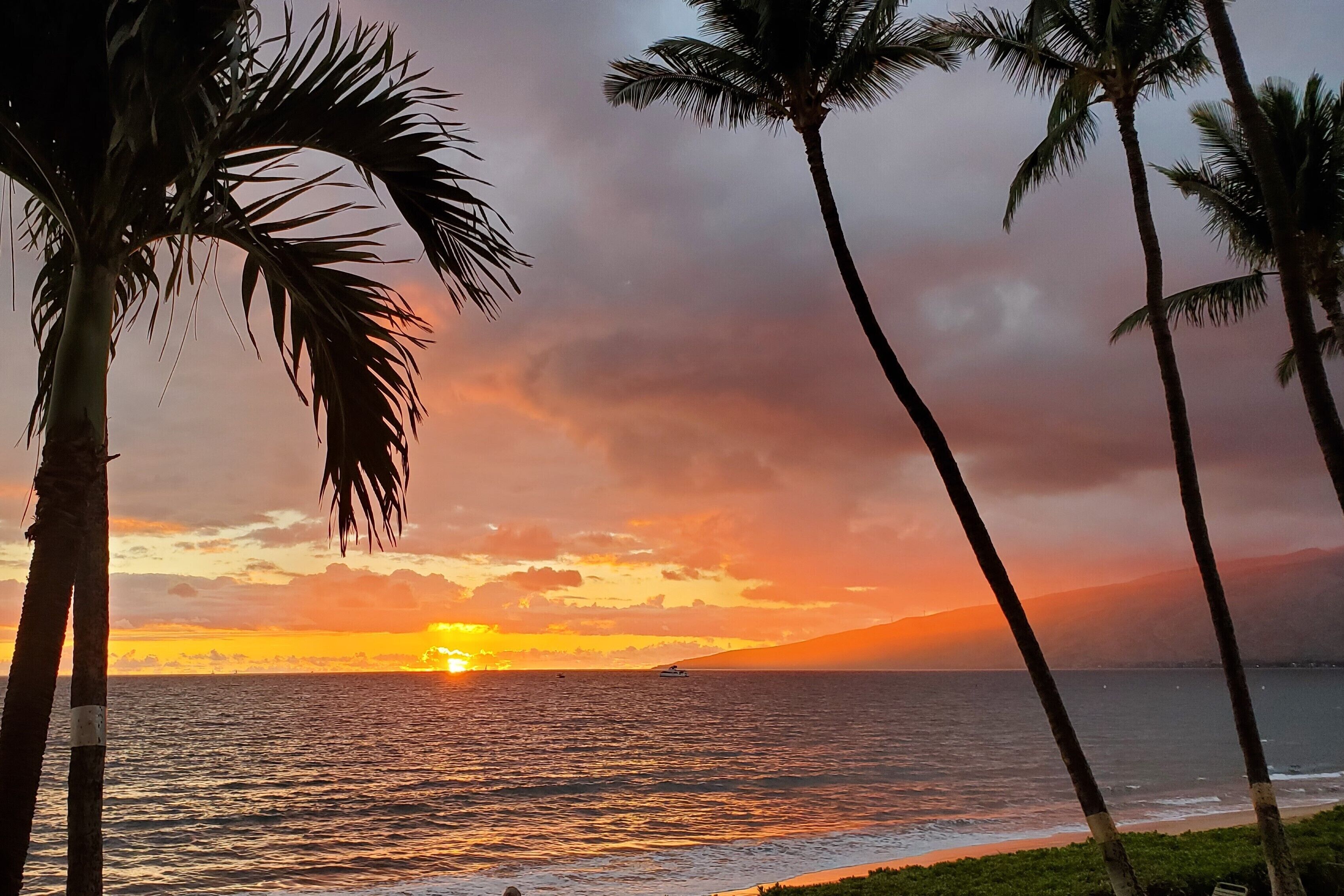 Ubicación a pie de playa
