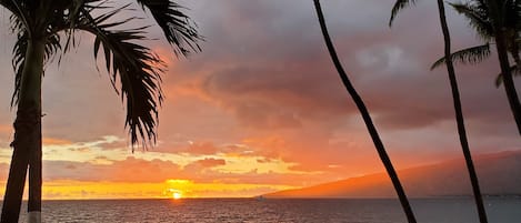 Ubicación a pie de playa