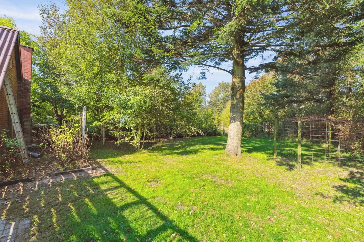 Imagen de perfil del propietario o de la propietaria