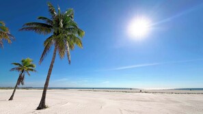 Een strand met palmbomen en een heldere lucht.