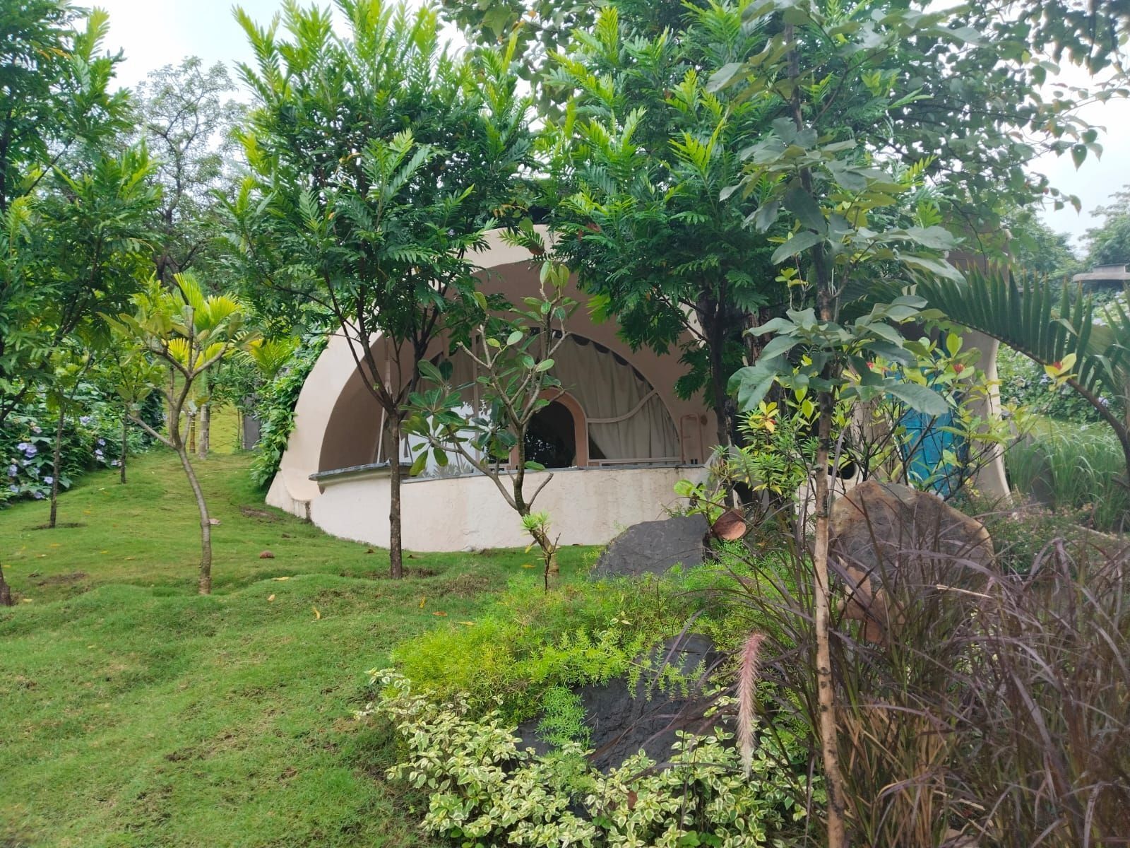 スタジオ キングベッド 1 台 バルコニー ヒルビュー | デスク、WiFi (無料)