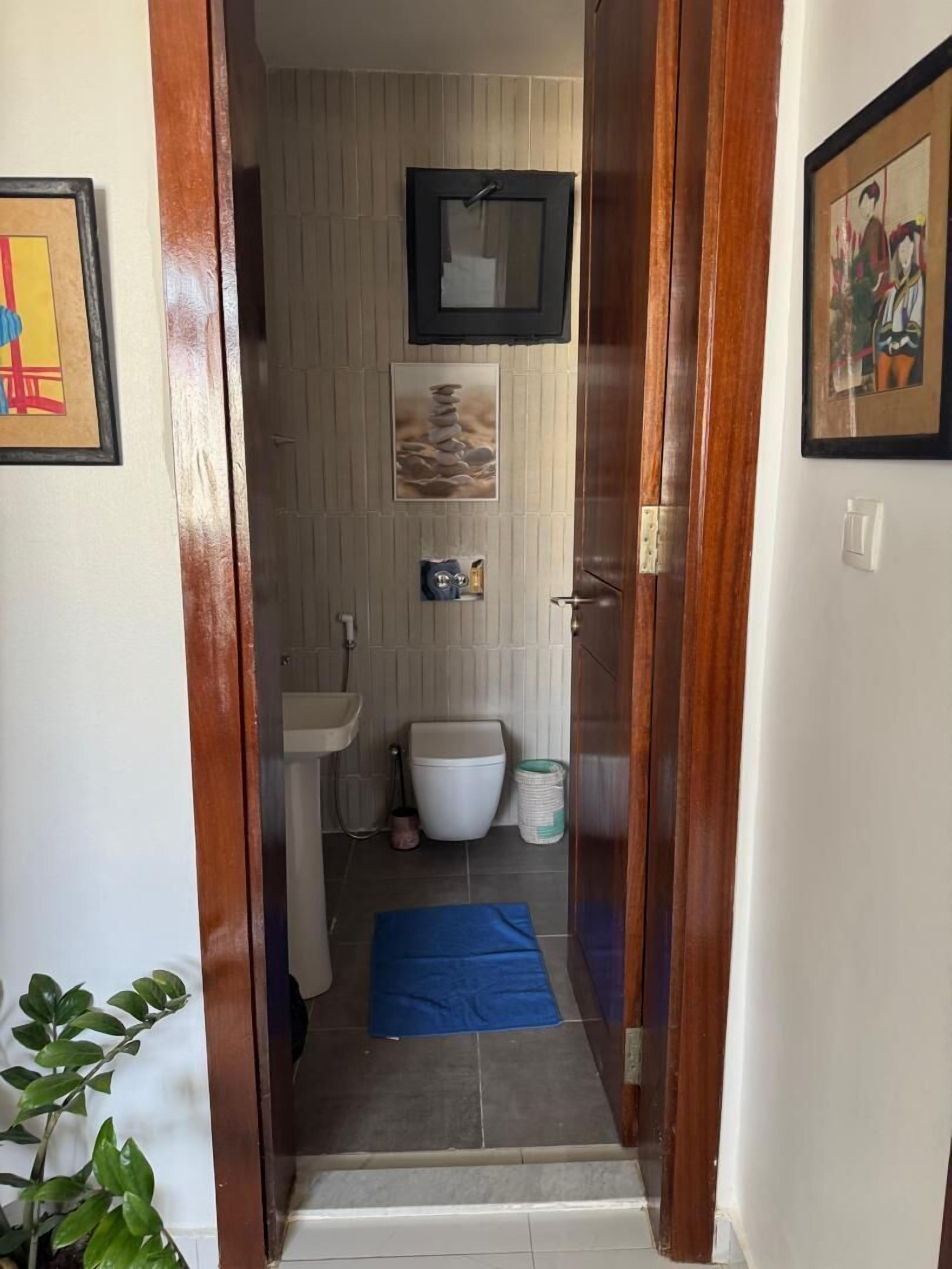 Un couloir étroit mène à une salle de bain équipée d’un lavabo, de toilettes et d’un tapis bleu posé sur le sol.
