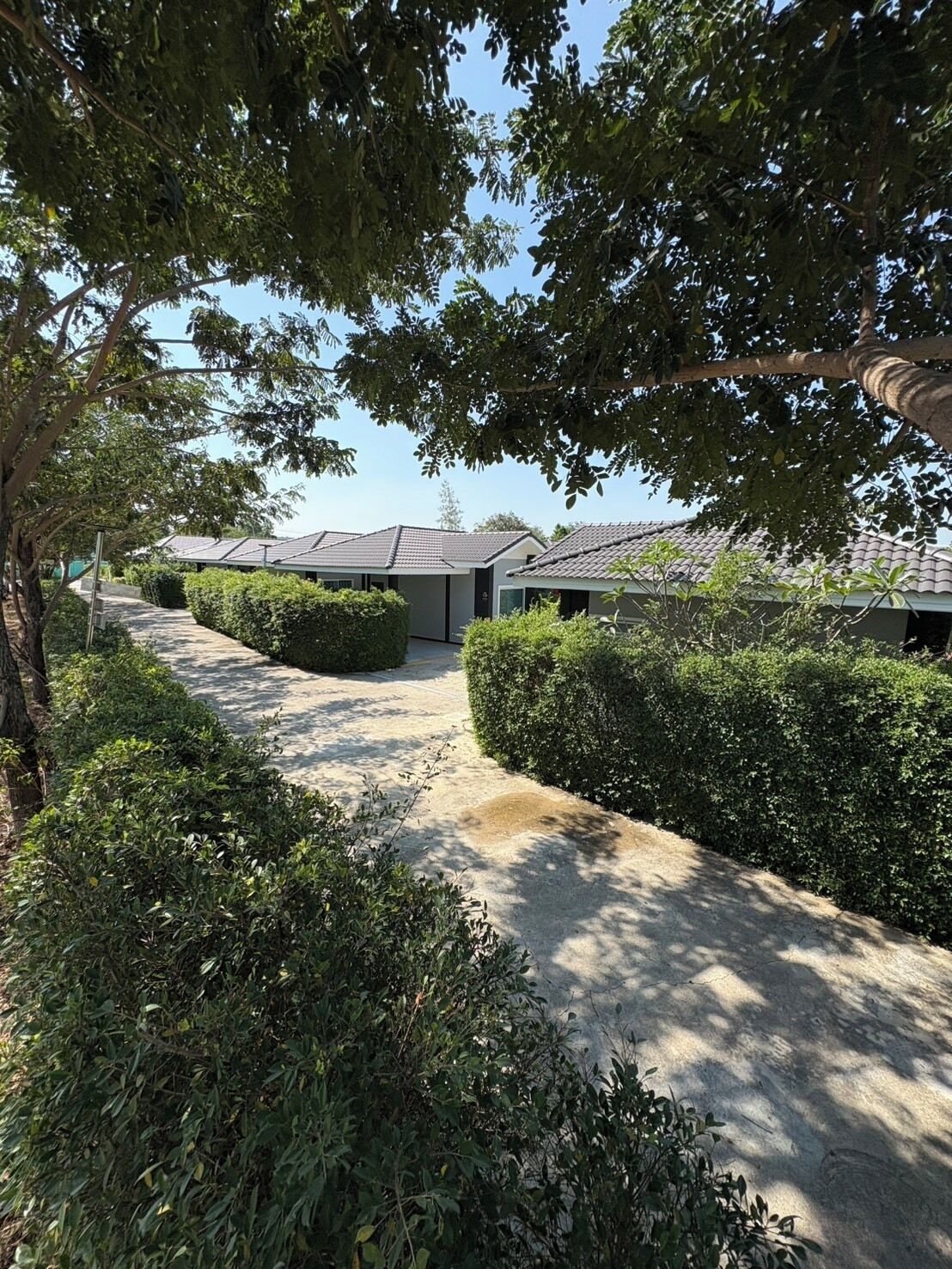 Familienhaus, Terrasse, Parkblick | Terrasse/Patio