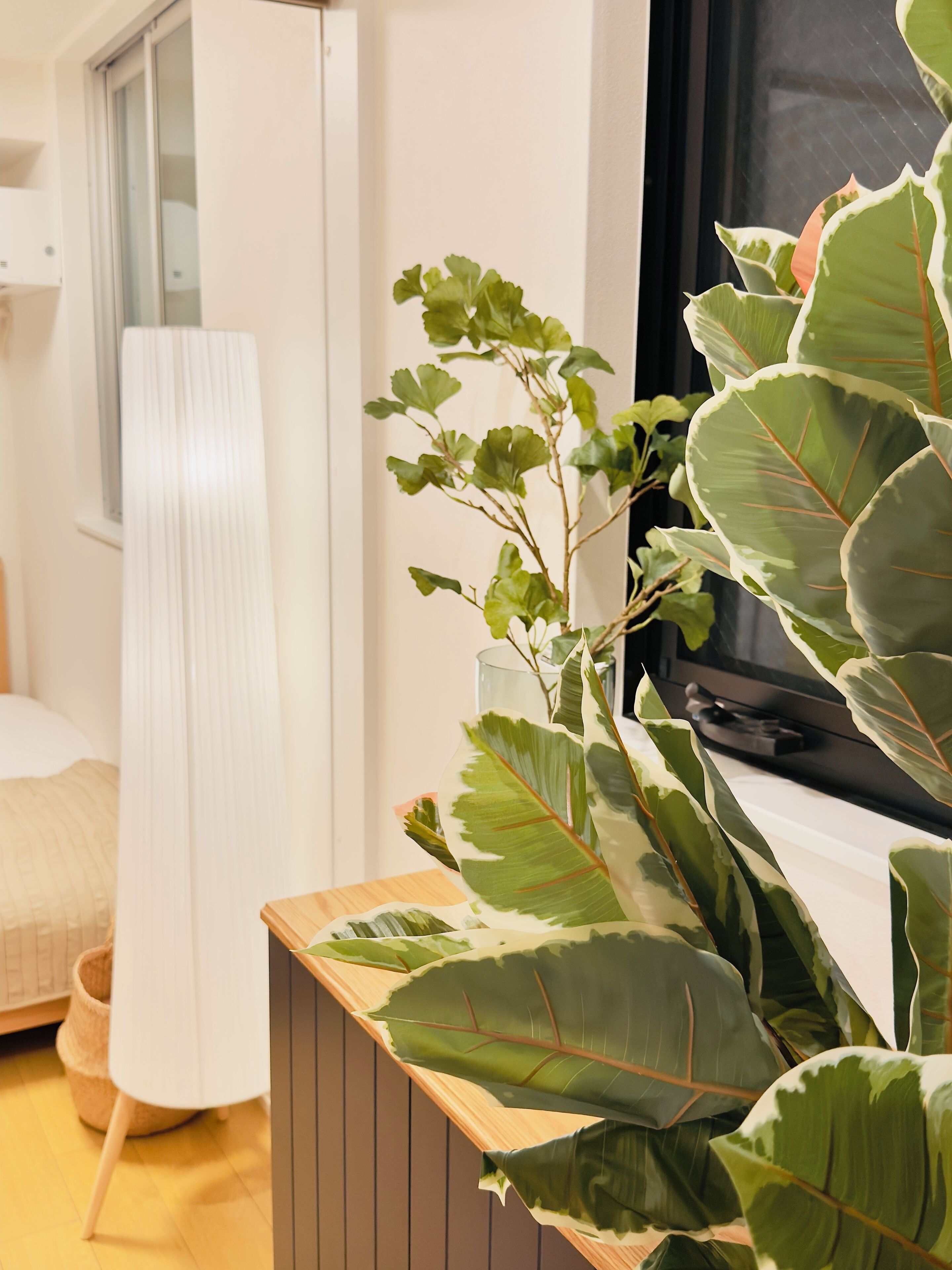 Habitació familiar | Wifi gratuïta i roba de llit 