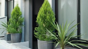Een moderne gevel met grote ramen en potplanten.
