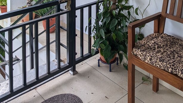 Un balcón con baranda de madera, una silla con cojín estampado de leopardo y varias macetas con plantas.