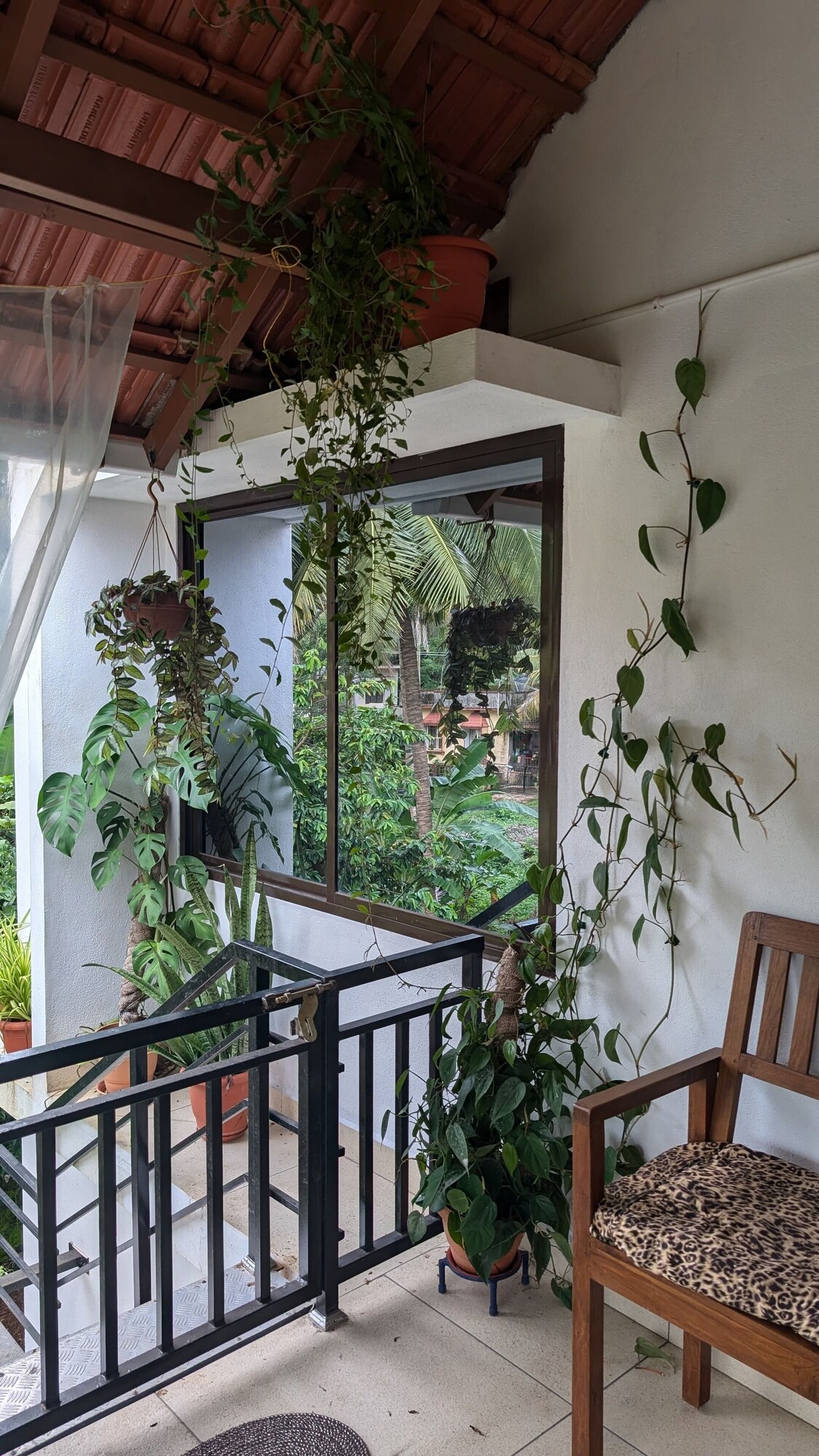 Image de profil de l’hôte