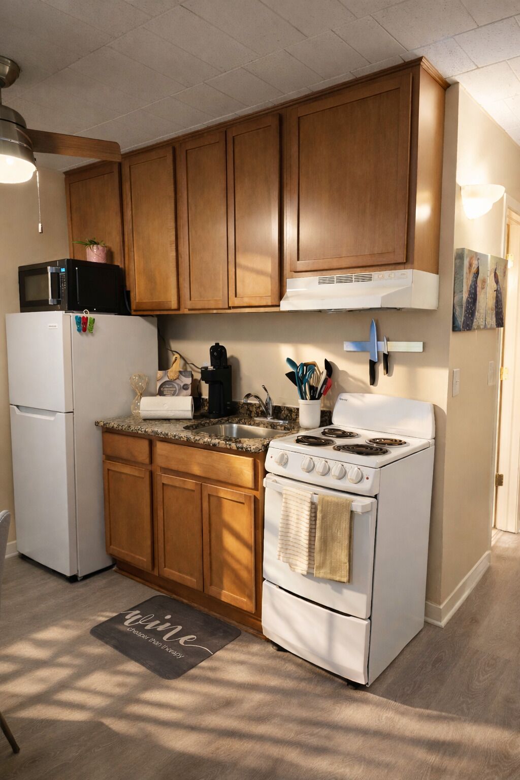 Een koelkast, een magnetron, een oven, een kookplaat