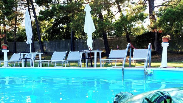 Una piscina con sillones de descanso y sombrillas.