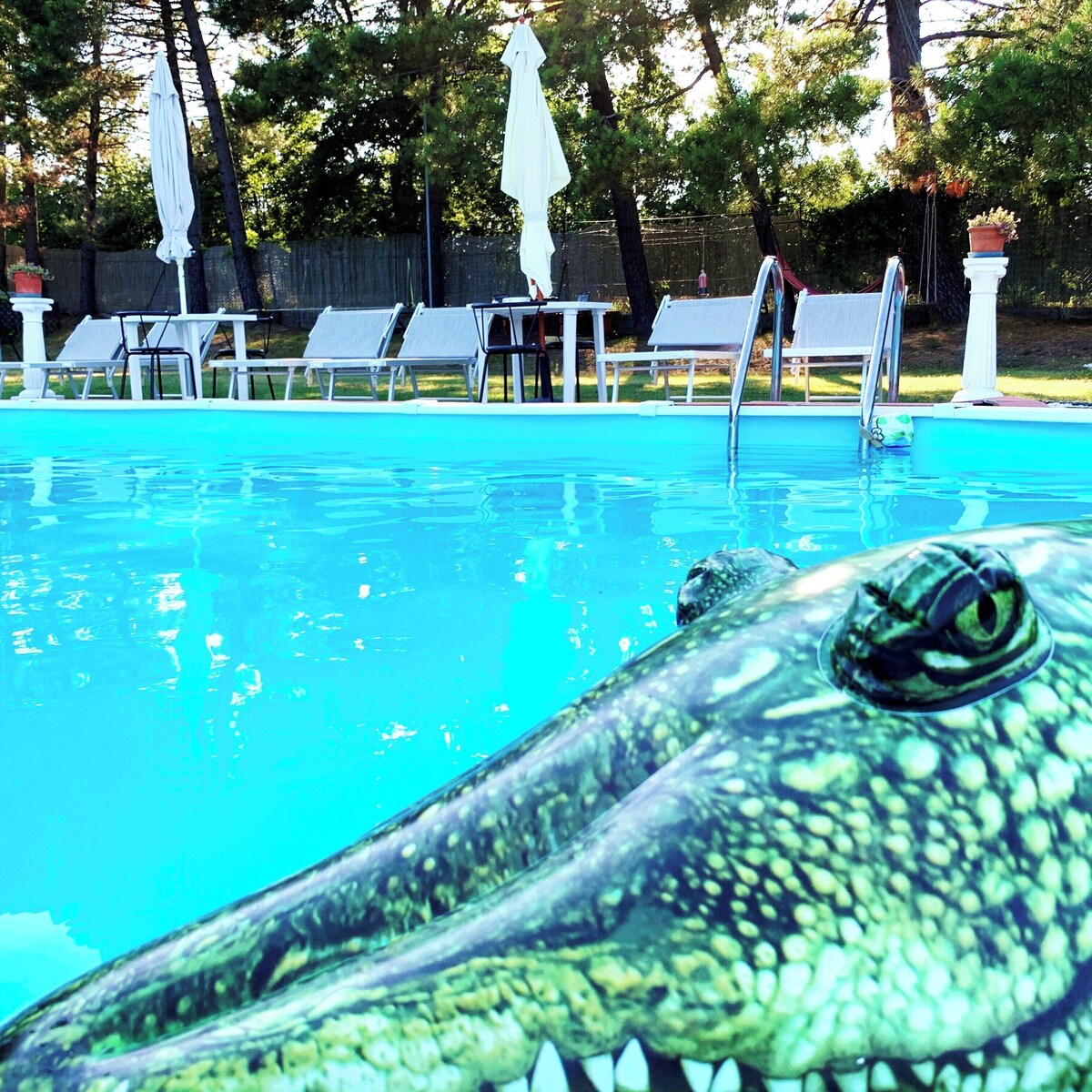 オーナーのプロフィール画像