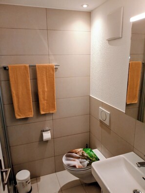 Shower, hair dryer, towels, soap - Beautiful apartment in Sörenberg, balcony with idyllic sound of the stream (Flühli)