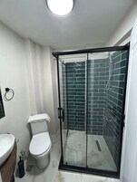 Ducha, secador de pelo, toallas y jabón