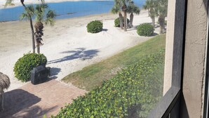 Blick auf einen Strand mit Palmen und wolkenlosem, blauem Himmel.