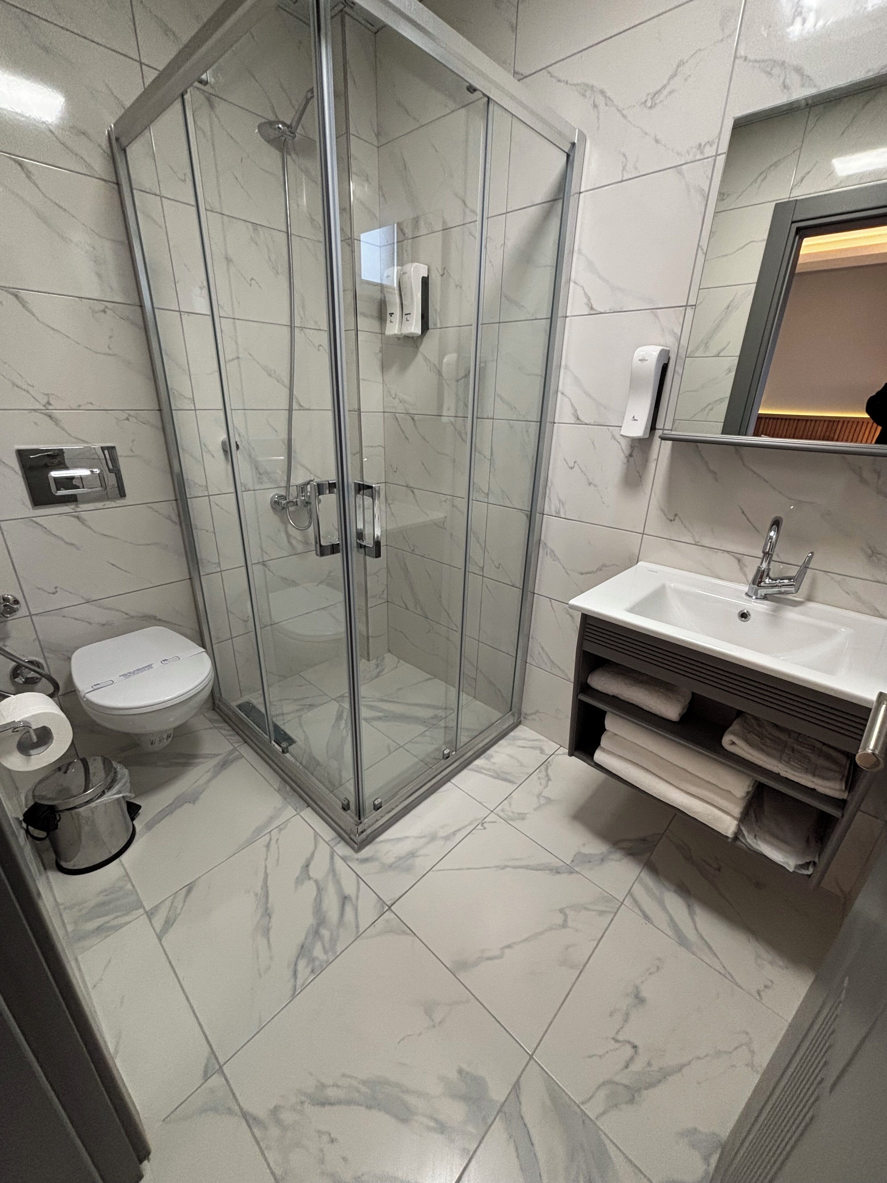 A modern bathroom with a glass-enclosed shower, a toilet, and a sink with a towel rack.