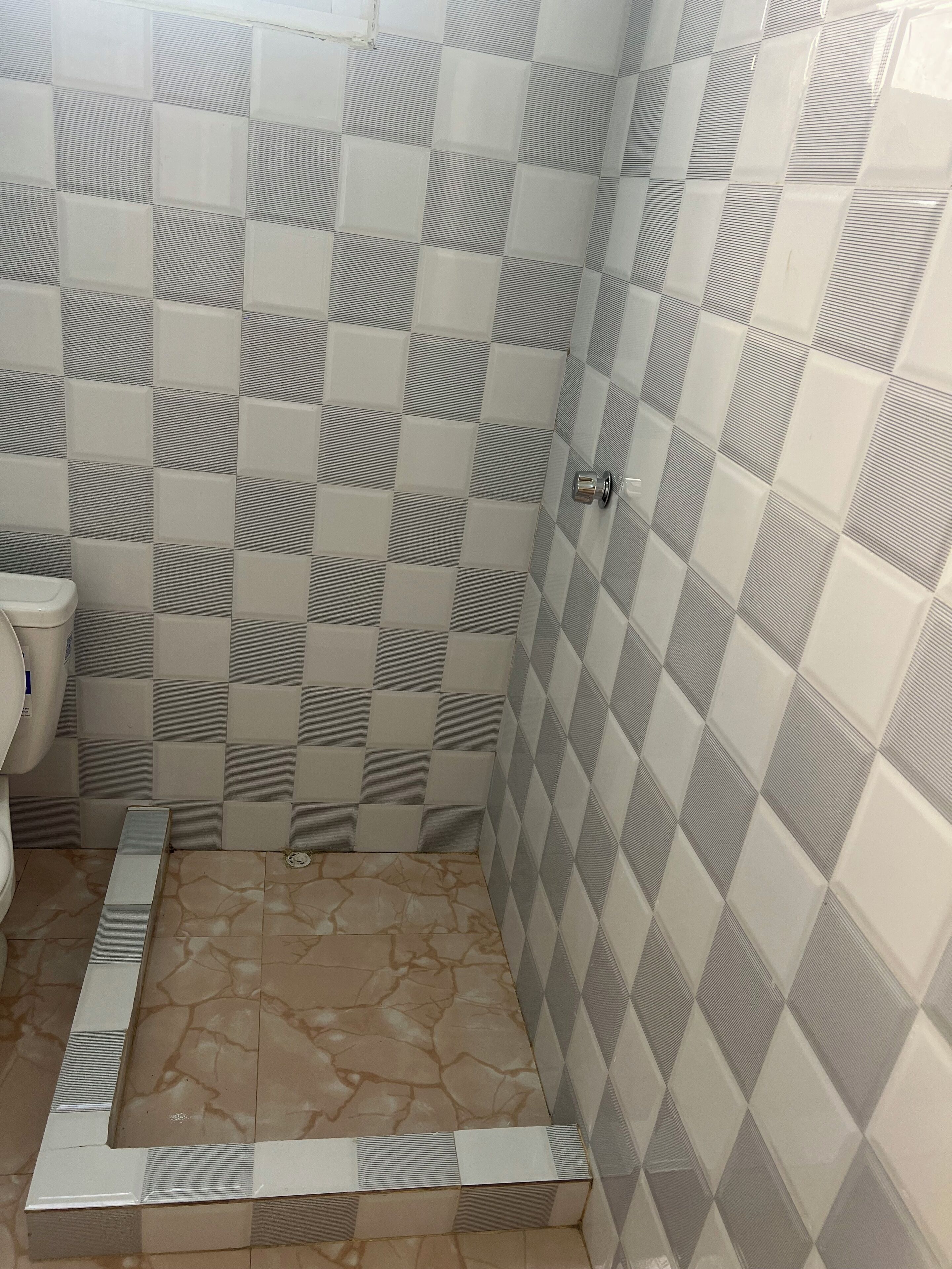 Shower, soap, toilet paper