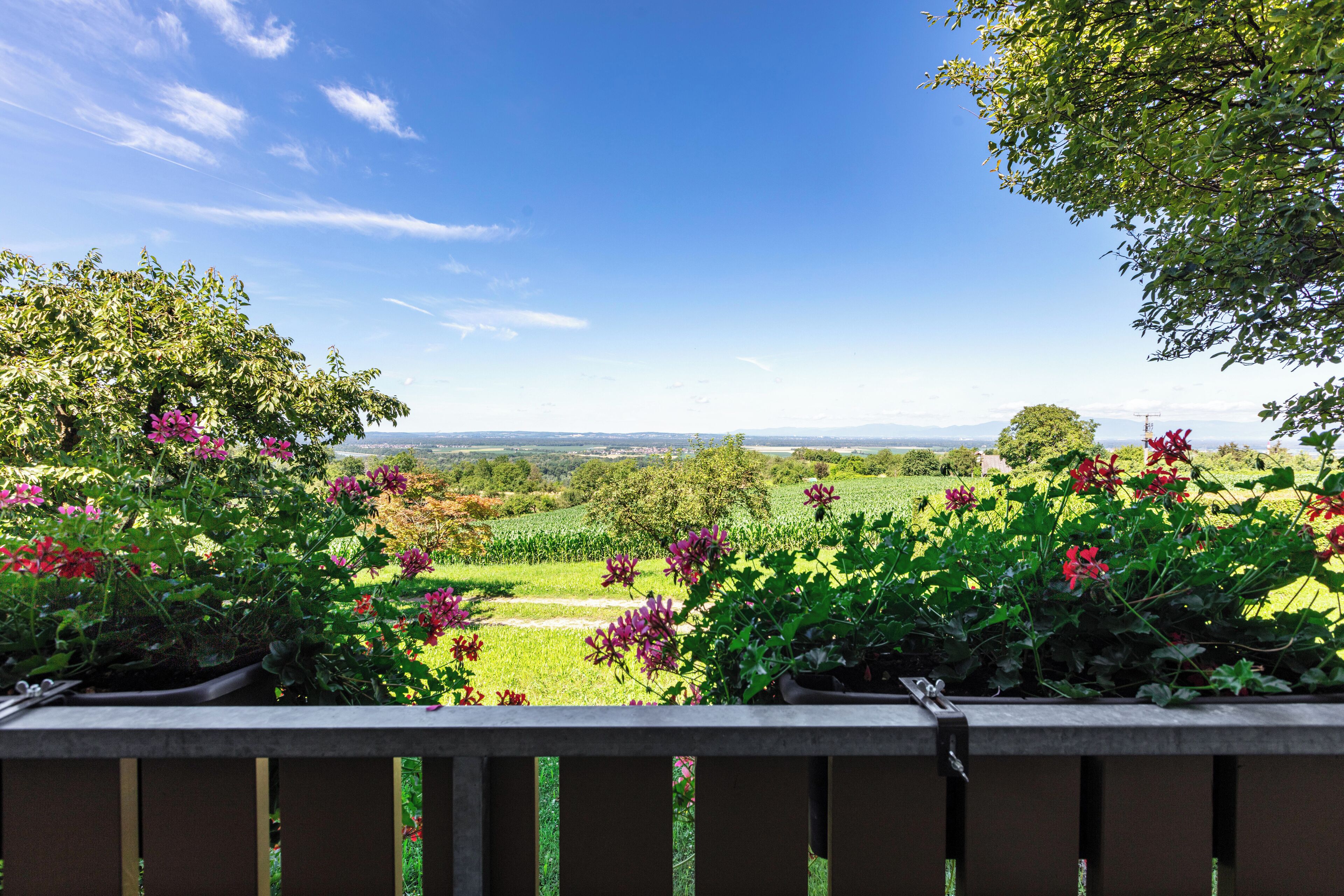 Deluxe Condo, Balcony, River View | Terrace/patio