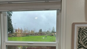 Ein Zimmer mit Fensterblick auf eine Wiese und einem gerahmten Kunstwerk an der Wand.