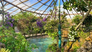 A greenhouse with a glass ceiling, a central water feature, and various plants and flowers. - Sunny Deerfield Beach Oasis w/ Pool & Canal Views (Deerfield Beach)