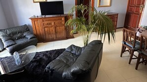 Un salon avec un canapé en cuir, une table basse en verre, un meuble en bois, un téléviseur et une plante en pot.