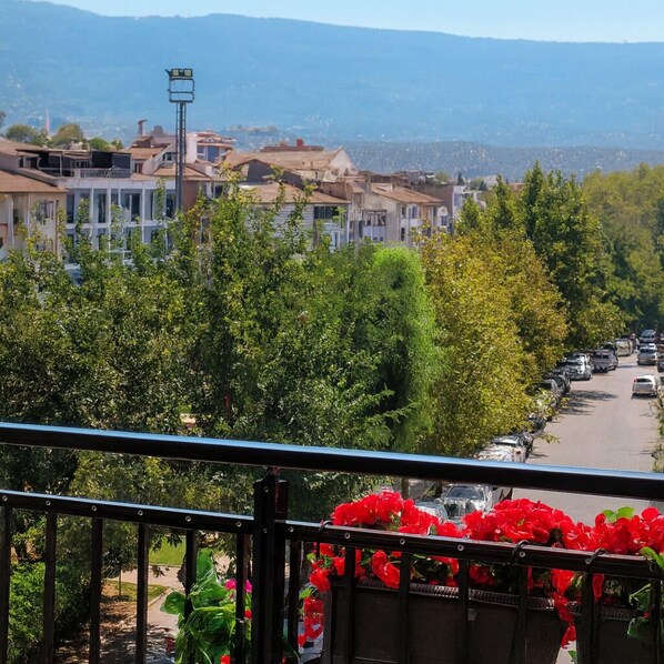 A balcony with a view of a residential street, trees, and a distant mountain range.