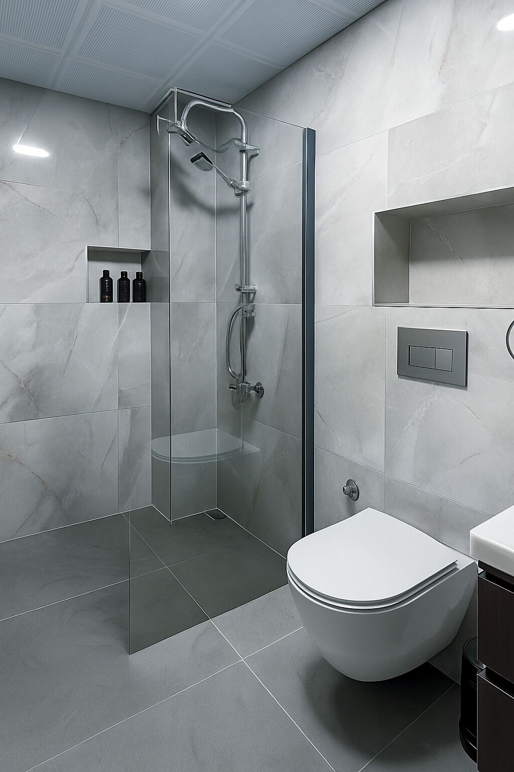 A modern bathroom with a glass-enclosed shower, a white toilet, and a built-in shelf with toiletries.