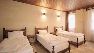 Condo, City View | Blackout curtains, soundproofing, iron/ironing board, free WiFi