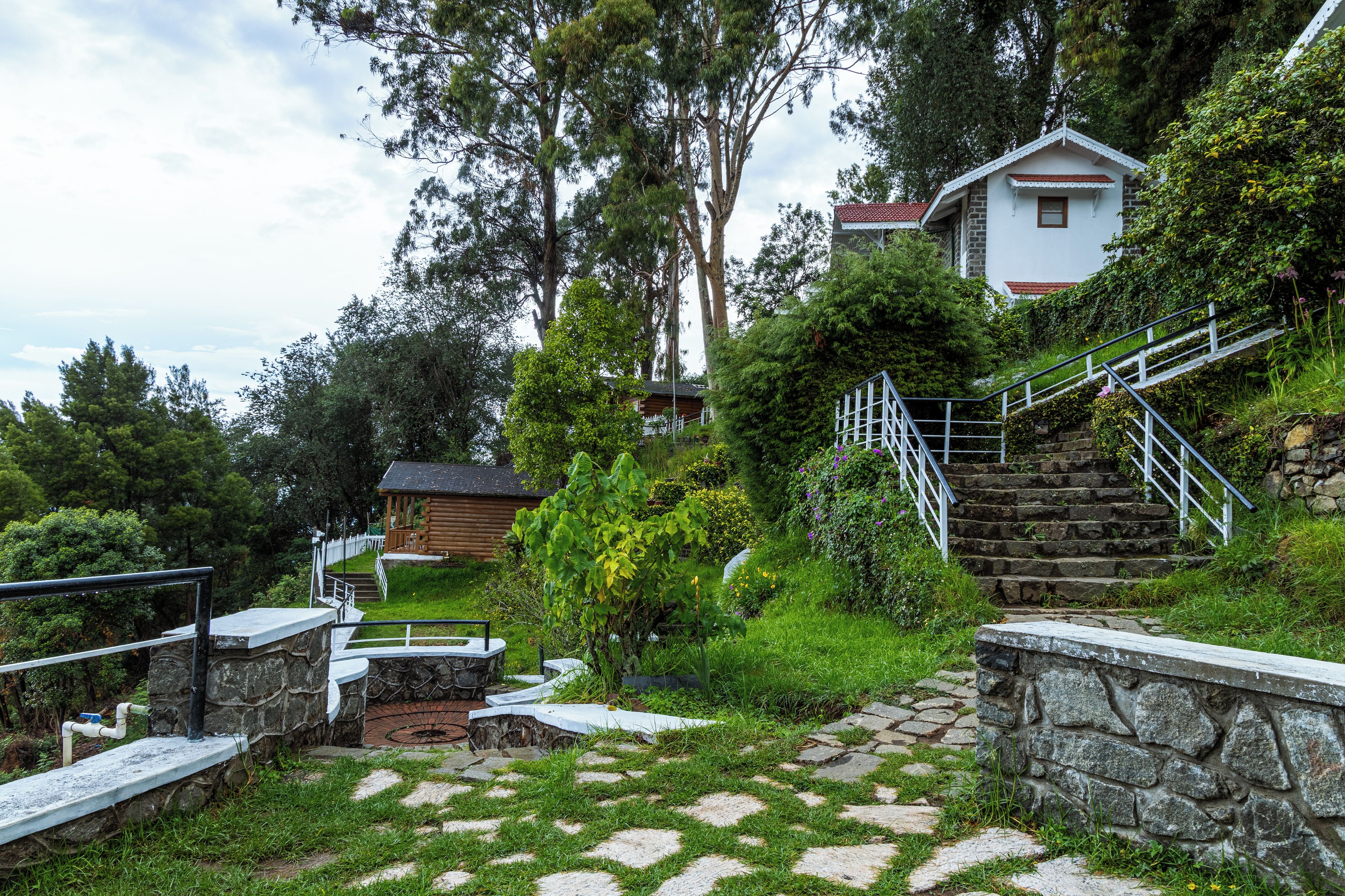 Una escalera de piedra lleva a una cabaña de madera, rodeada de exuberante vegetación y un cielo despejado.