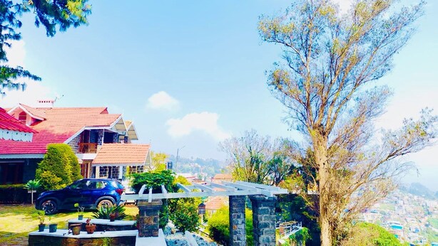 Un quartier résidentiel avec des maisons, une voiture bleue et un grand arbre.