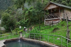 Un rustico chalet in legno con un balcone, circondato da vegetazione lussureggiante e un piccolo stagno.